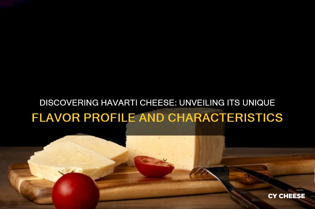 what flavor is havarti cheese
