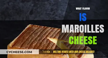 Discover the Unique Flavor Profile of Maroilles Cheese