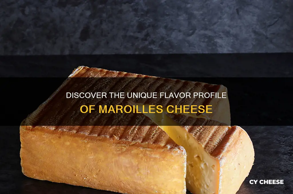 what flavor is maroilles cheese