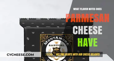 Parmesan Cheese: A Symphony of Savory Flavor Notes