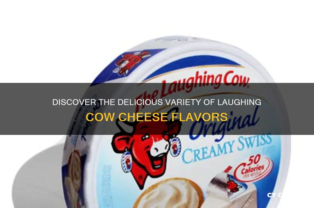 what flavors does laughing cow cheese come in