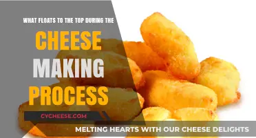 Curds Rise: Unveiling the Science Behind Cheese Making's Floating Phenomenon