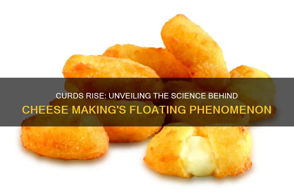 what floats to the top during the cheese making process