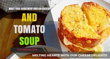Perfect Pairings: Elevating Grilled Cheese and Tomato Soup Combinations