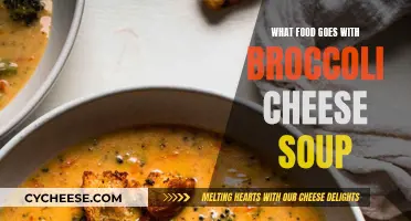 Delicious Food Pairings to Serve with Broccoli Cheese Soup