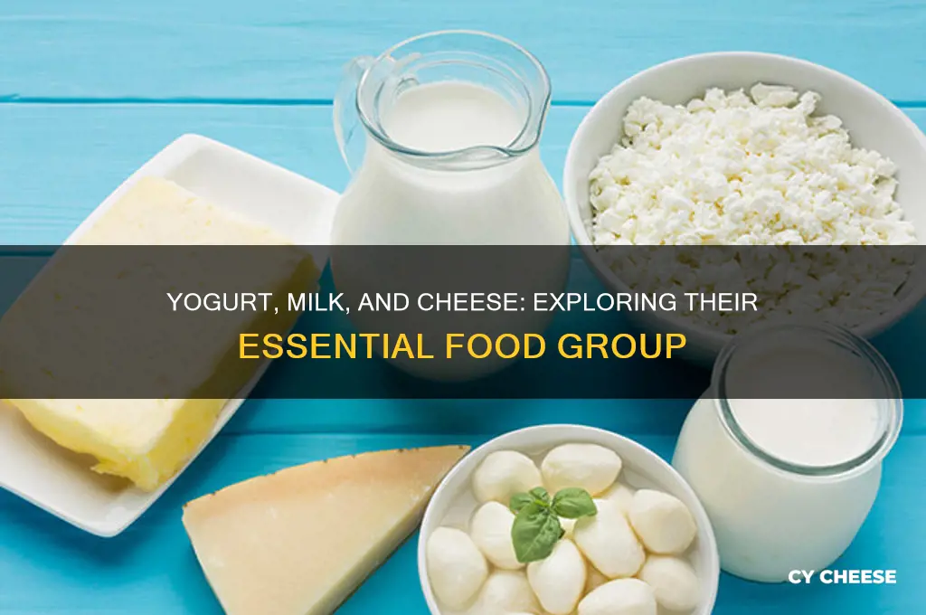 what food group does yogurt milk and cheese belong to