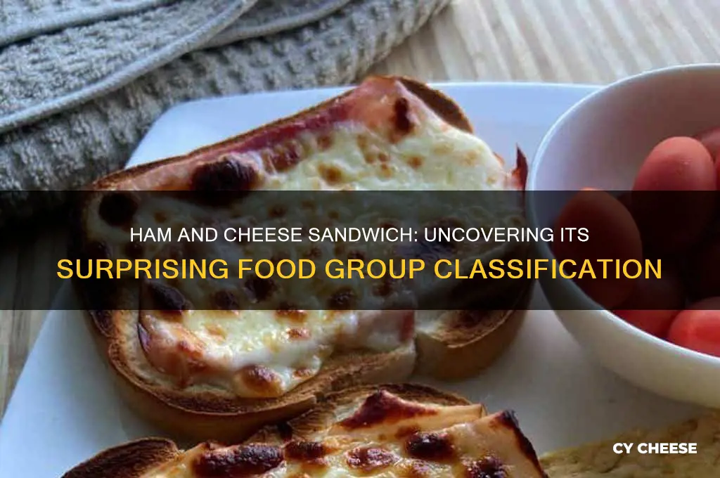 what food group is a ham and cheese sandwich in