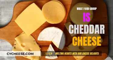 The Cheddar Cheese Conundrum: Unraveling Its Food Group Mystery