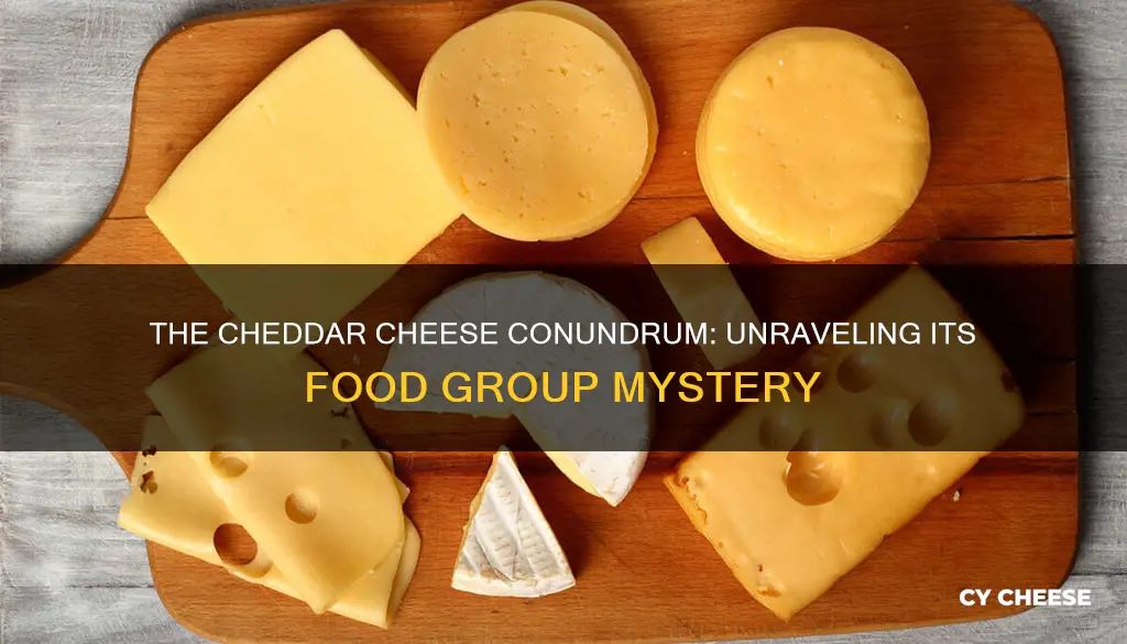 what food group is cheddar cheese