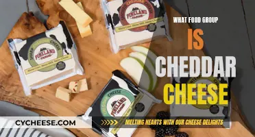 Cheese Conundrum: Cheddar's Place in the Food Pyramid