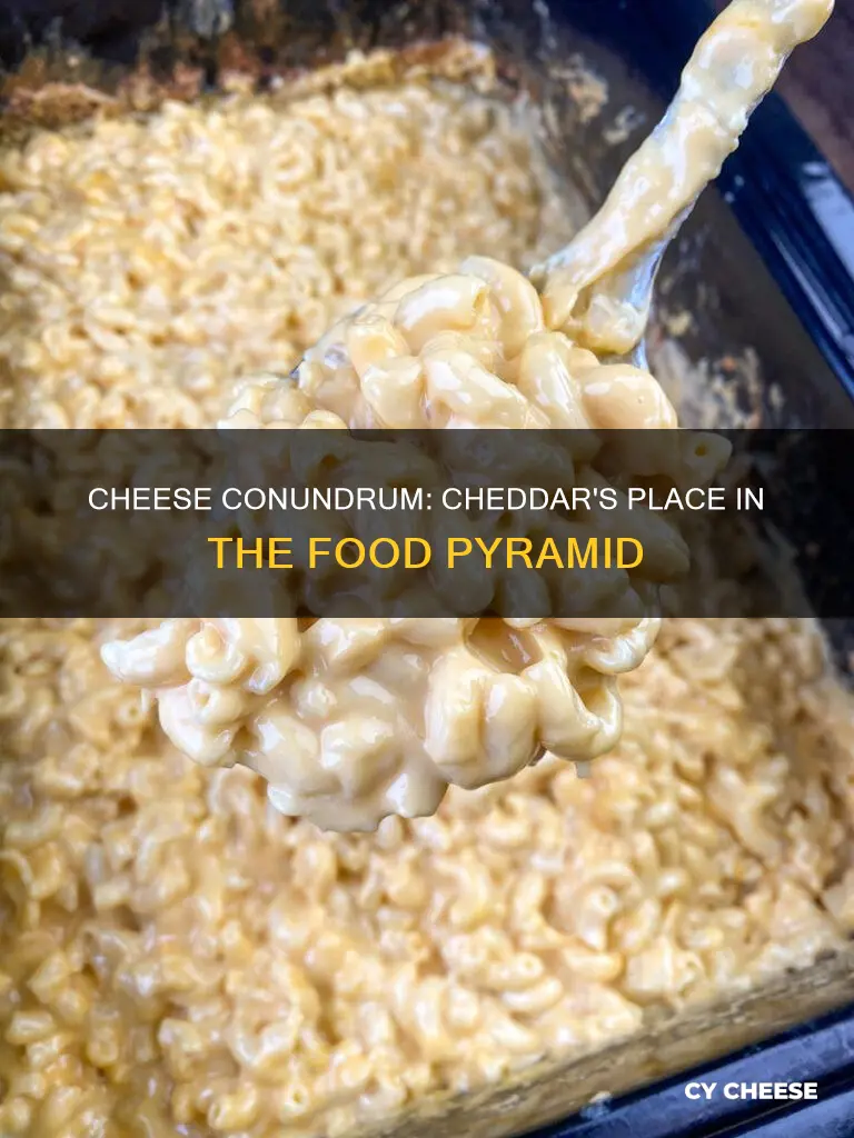 what food group is cheddar cheese