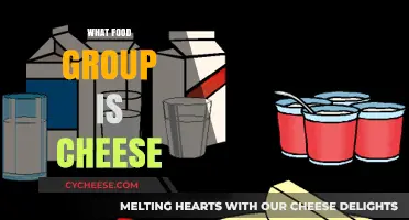 Cheese Classification: Unraveling Its Food Group Mystery and Nutritional Value