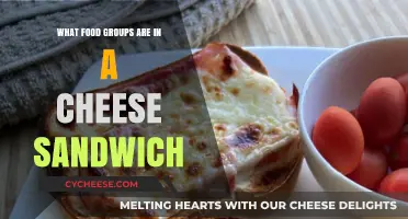 Cheese Sandwich Essentials: Exploring the Food Groups in Every Bite