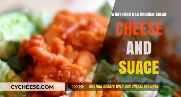 Delicious Chicken Salad with Cheese and Sauce Recipe Ideas