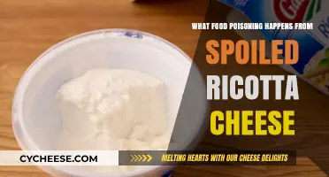 Spoiled Ricotta Risks: Symptoms and Causes of Cheese-Related Food Poisoning