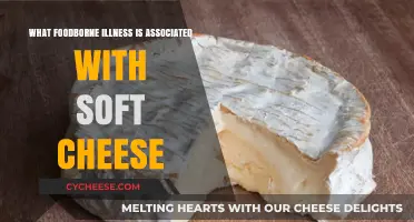 Soft Cheese Risks: Understanding the Link to Listeriosis Foodborne Illness