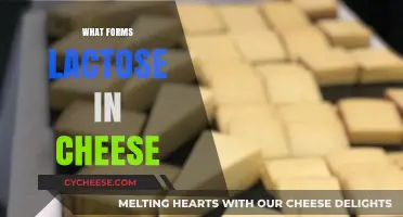 Understanding Lactose Formation in Cheese: A Comprehensive Guide