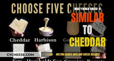 French Cheddar Alternatives: Discover the Best French Cheeses Similar to Cheddar