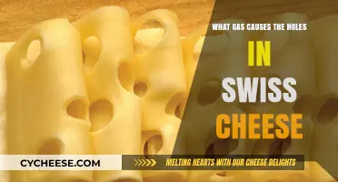 Swiss Cheese Holes: The Mystery Gas Unveiled