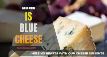 Blue Cheese's Genus: Unveiling the Mystery of Delicious Mold