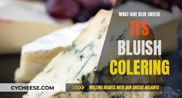 Unraveling Blue Cheese's Bluish Hue: A Culinary Mystery