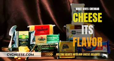 The Art of Cheddar: Unlocking the Secrets of its Flavorful Magic