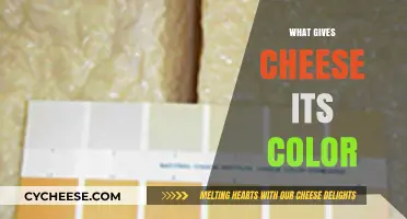 Unveiling the Secrets: What Truly Gives Cheese Its Color