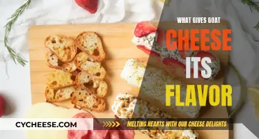 The Art of Flavor: Unveiling the Secrets Behind Goat Cheese's Unique Taste