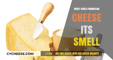Parmesan Cheese: Why Does It Smell So Good?