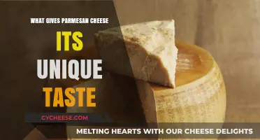 Parmesan Cheese: What's Behind Its Unique Taste?