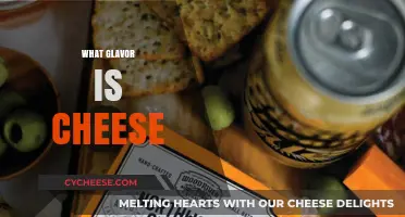 Exploring the Unique Flavor Profile of Cheese: What Makes It So Delicious?