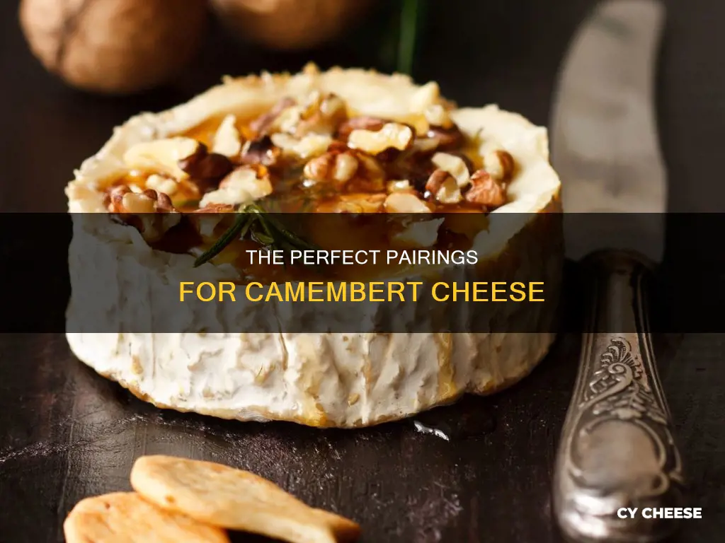 what goes best with camembert cheese