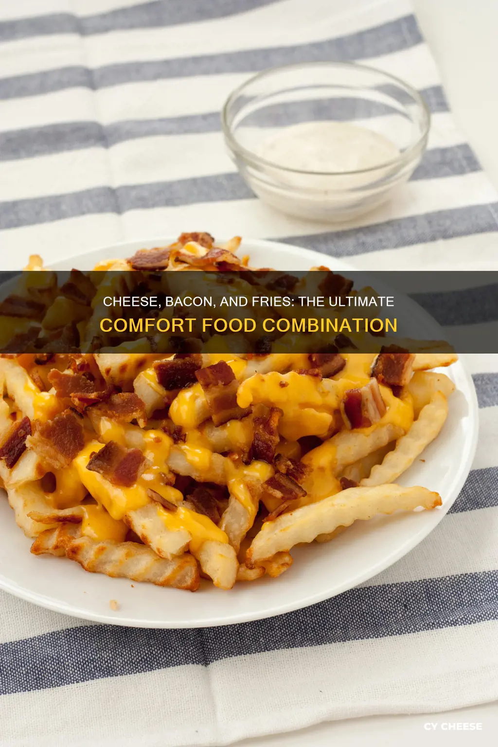 what goes best with cheese bacon fries