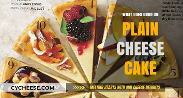 Delicious Toppings to Elevate Your Classic Plain Cheesecake Experience