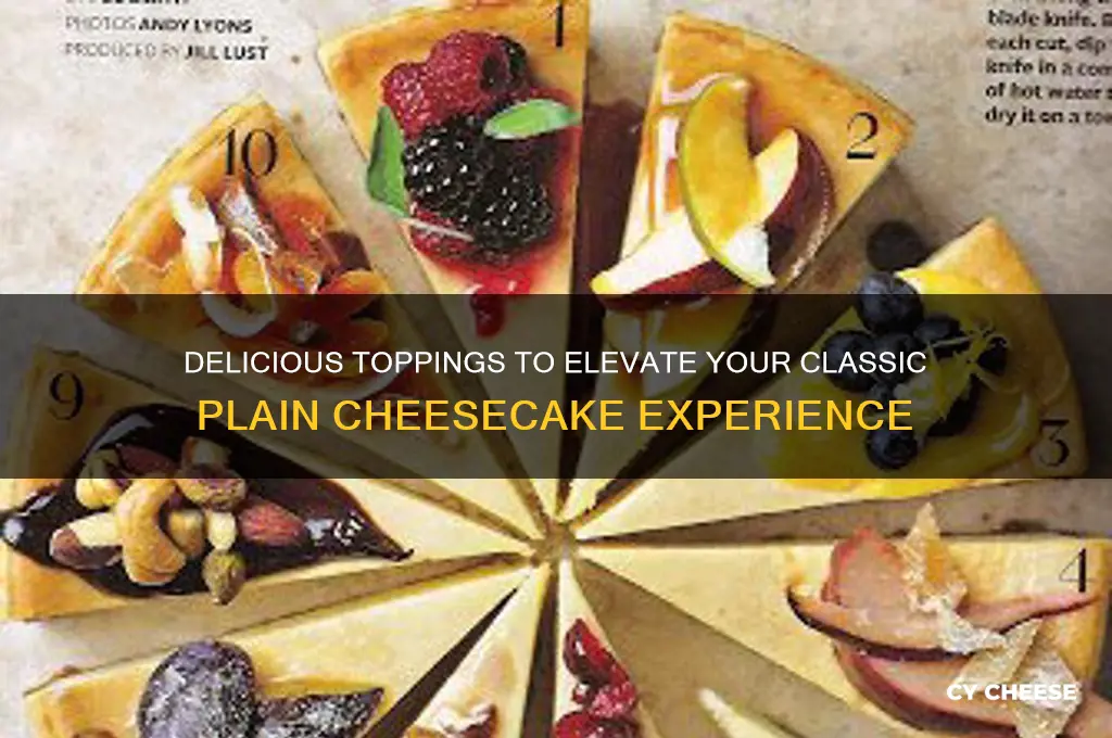 what goes good on plain cheese cake