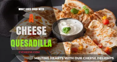 Perfect Pairings: Delicious Sides and Toppings for Your Cheese Quesadilla