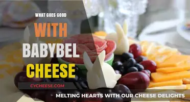 Delicious Pairings: Perfect Snacks and Meals to Enjoy with Babybel Cheese
