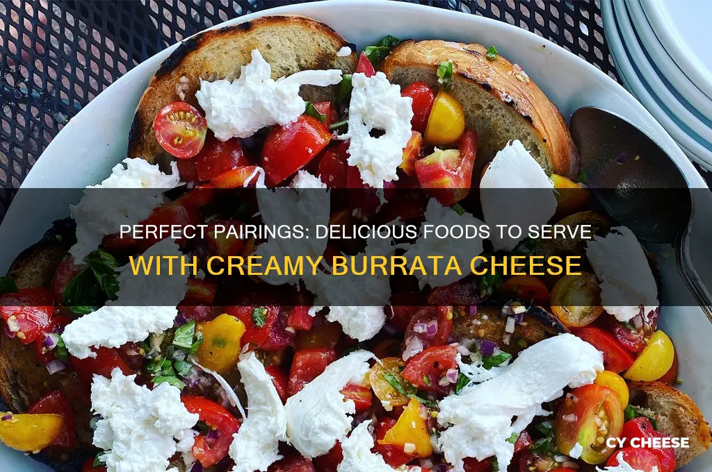 what goes good with burrata cheese