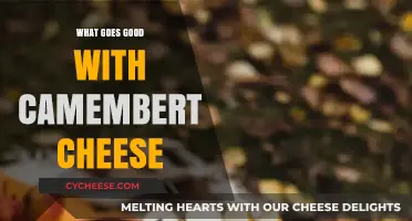 Perfect Pairings: Delicious Foods and Drinks to Enjoy with Camembert Cheese