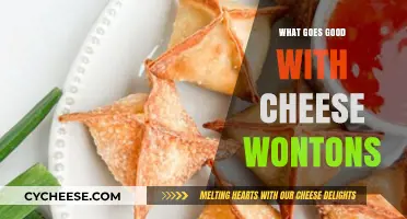 Delicious Pairings: Perfect Dishes to Serve with Cheese Wontons