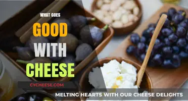Perfect Pairings: Delicious Foods and Drinks to Enjoy with Cheese