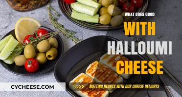 Delicious Halloumi Pairings: Perfect Sides, Dishes, and Recipes to Try