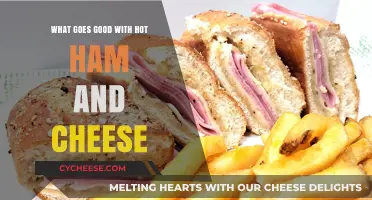 Perfect Pairings: Delicious Sides to Elevate Your Hot Ham and Cheese