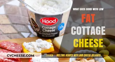 Delicious Pairings: Healthy Low-Fat Cottage Cheese Combinations to Try