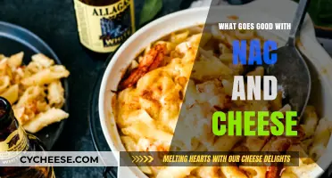 Delicious Pairings: Perfect Sides and Toppings for Mac and Cheese