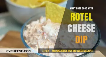 Perfect Pairings: Delicious Dishes to Serve with Rotel Cheese Dip