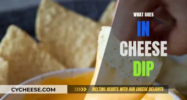 Cheese Dip Ingredients: What's in the Melty Mix?