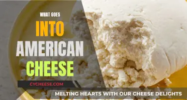 The Mystery of American Cheese: Ingredients Unveiled