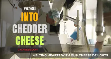 The Magic Ingredients Behind Cheddar's Unique Taste