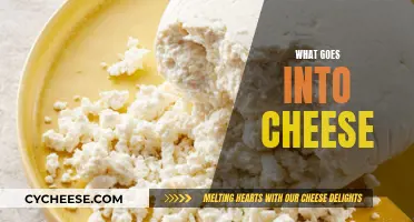 The Chemistry Behind Cheese: Ingredients and Process